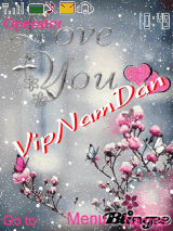 VipNamDan.wap.sh